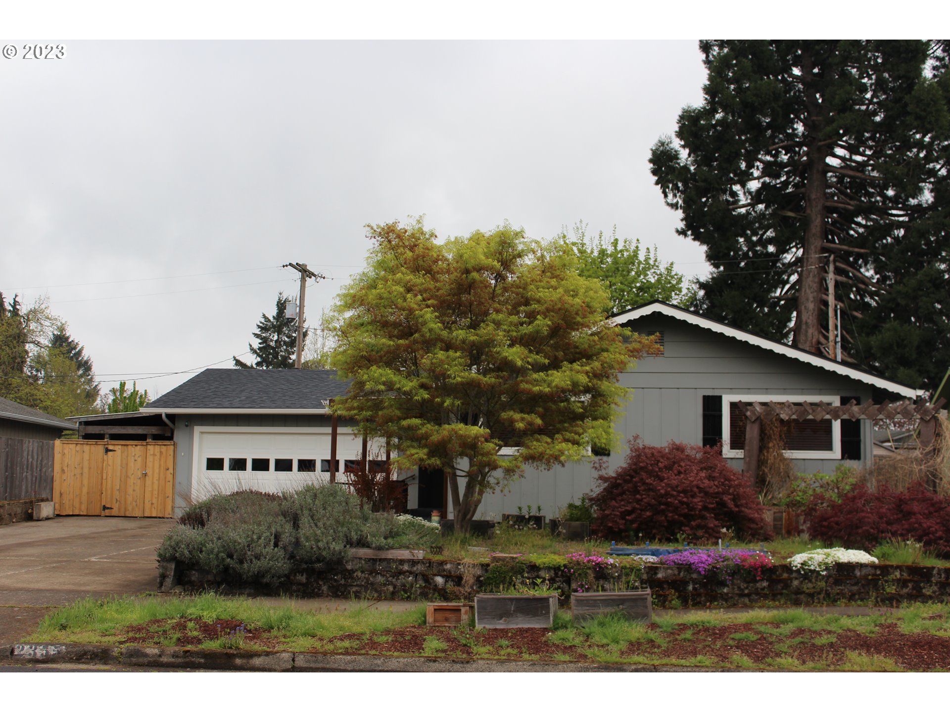 2355 11th Street Springfield, OR 97477 - Photo 1 of 16 a view of house with yard and trees in the background