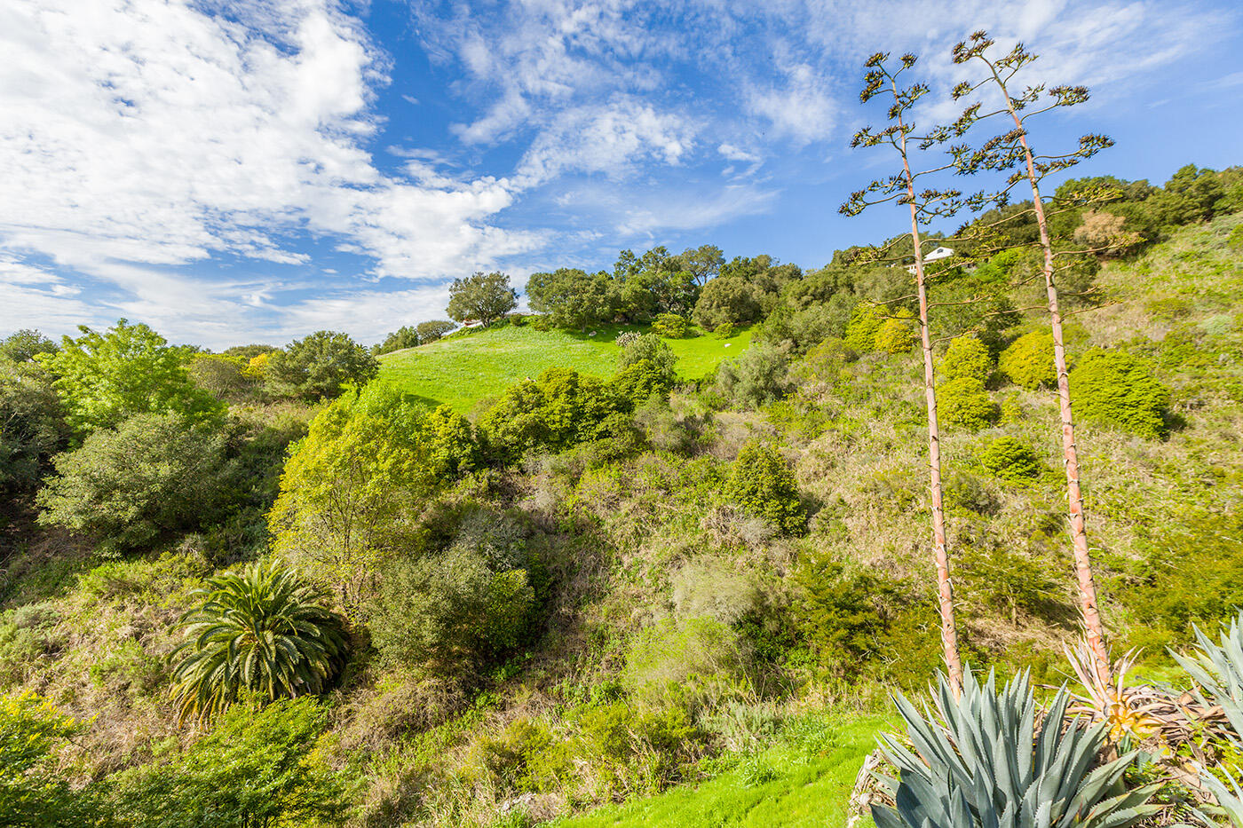 401 Loma Media Road Santa Barbara, CA 93103 - Photo 5 of 29 View from this Home