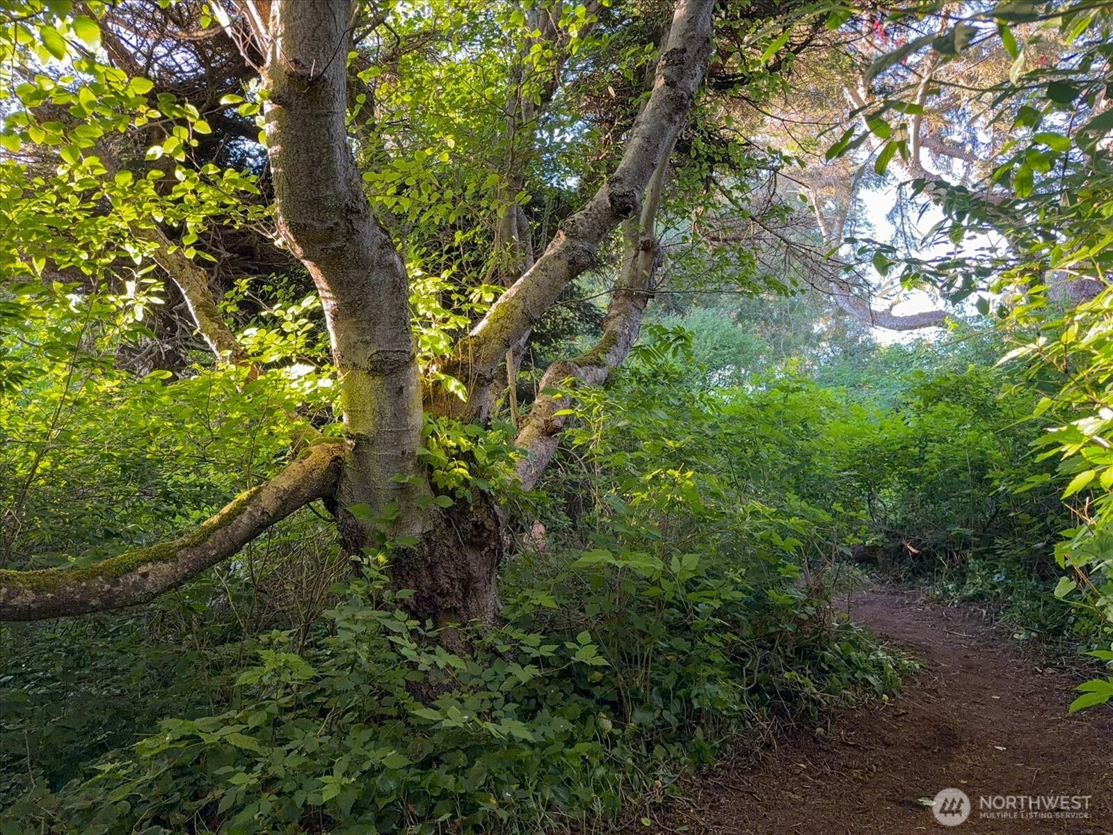 0 West Beach Road Oak Harbor, WA 98277 - Photo 26 of 32