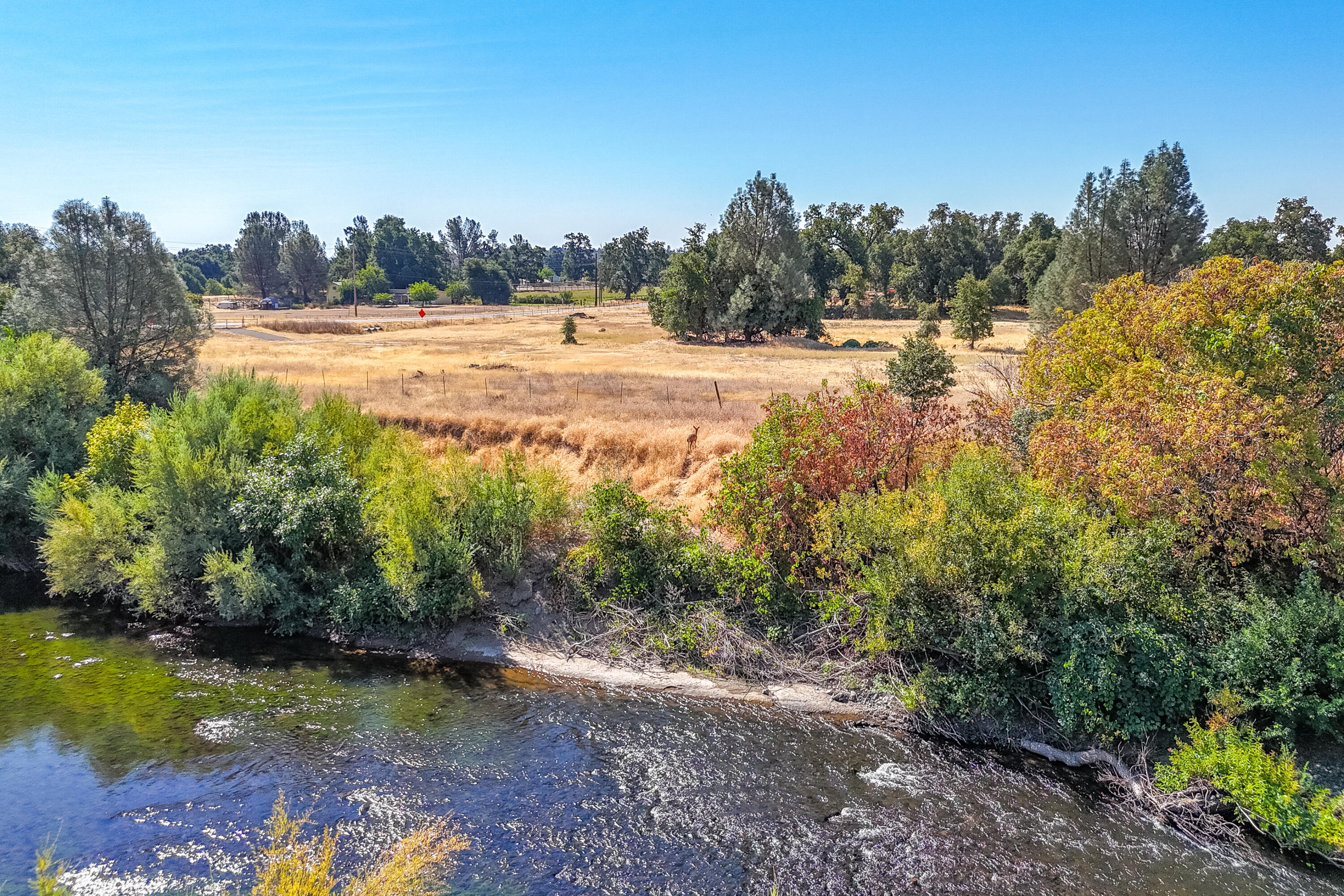 9422 Silver Bridge Road Palo Cedro, CA 96073 - Photo 7 of 27 a view of a yard with trees and houses in the back