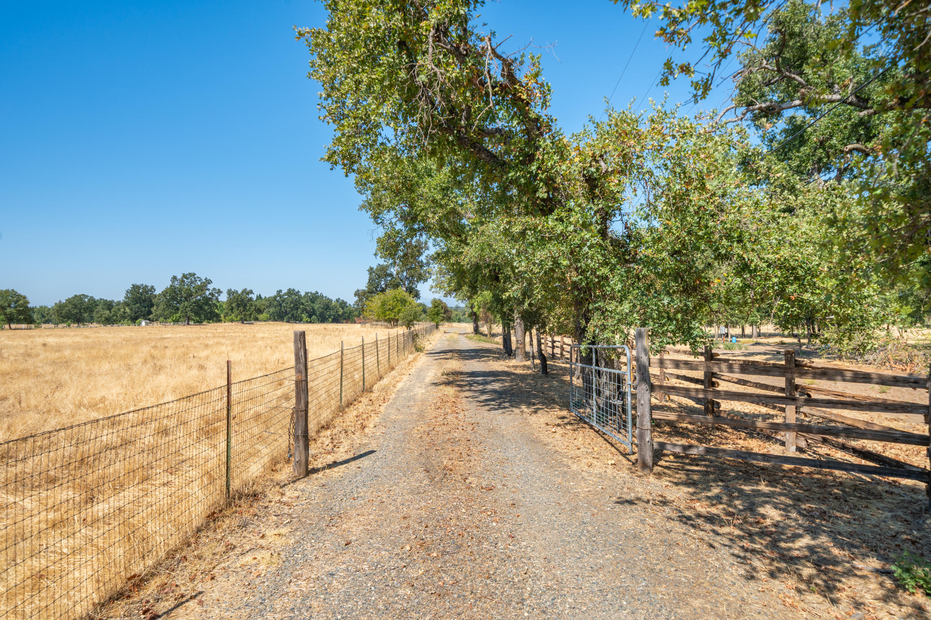 9422 Silver Bridge Road Palo Cedro, CA 96073 - Photo 10 of 27 a view of street with a yard