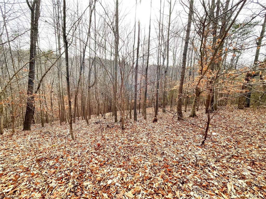 2501 South Friendship Road Germanton, NC 27019 - Photo 29 of 33 Gallery Image 29