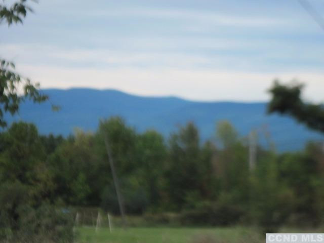 492 Travis Hill Road Rensselaerville, NY 12469 - Photo 3 of 5 Photo 3