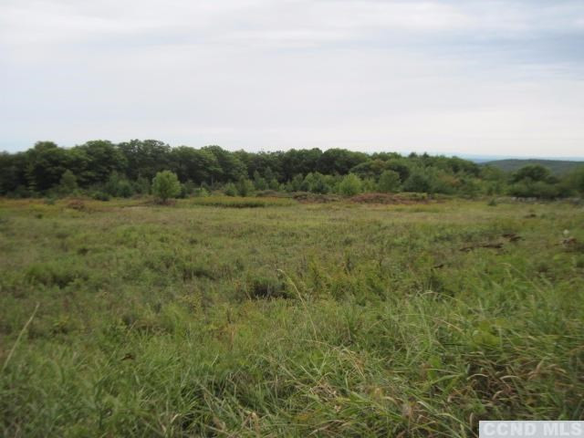 492 Travis Hill Road Rensselaerville, NY 12469 - Photo 4 of 5 Photo 4
