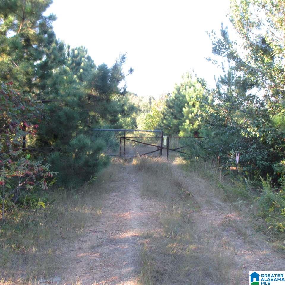 0 County Road 15, Unit 16 Cleveland, AL 35049 - Photo 4 of 5