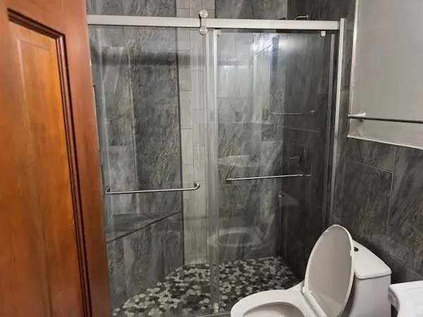 a bathroom with a shower and toilet