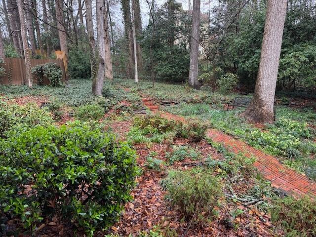 3324 Henderson Creek Road Atlanta, GA 30341 - Photo 6 of 29 a view of a forest with trees