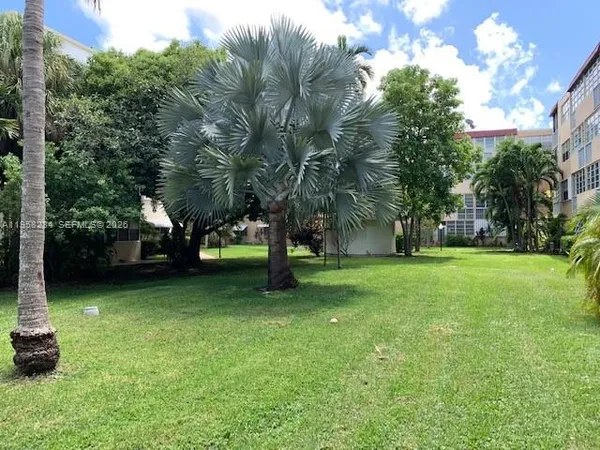 a view of a tree in front of a house with a small yard