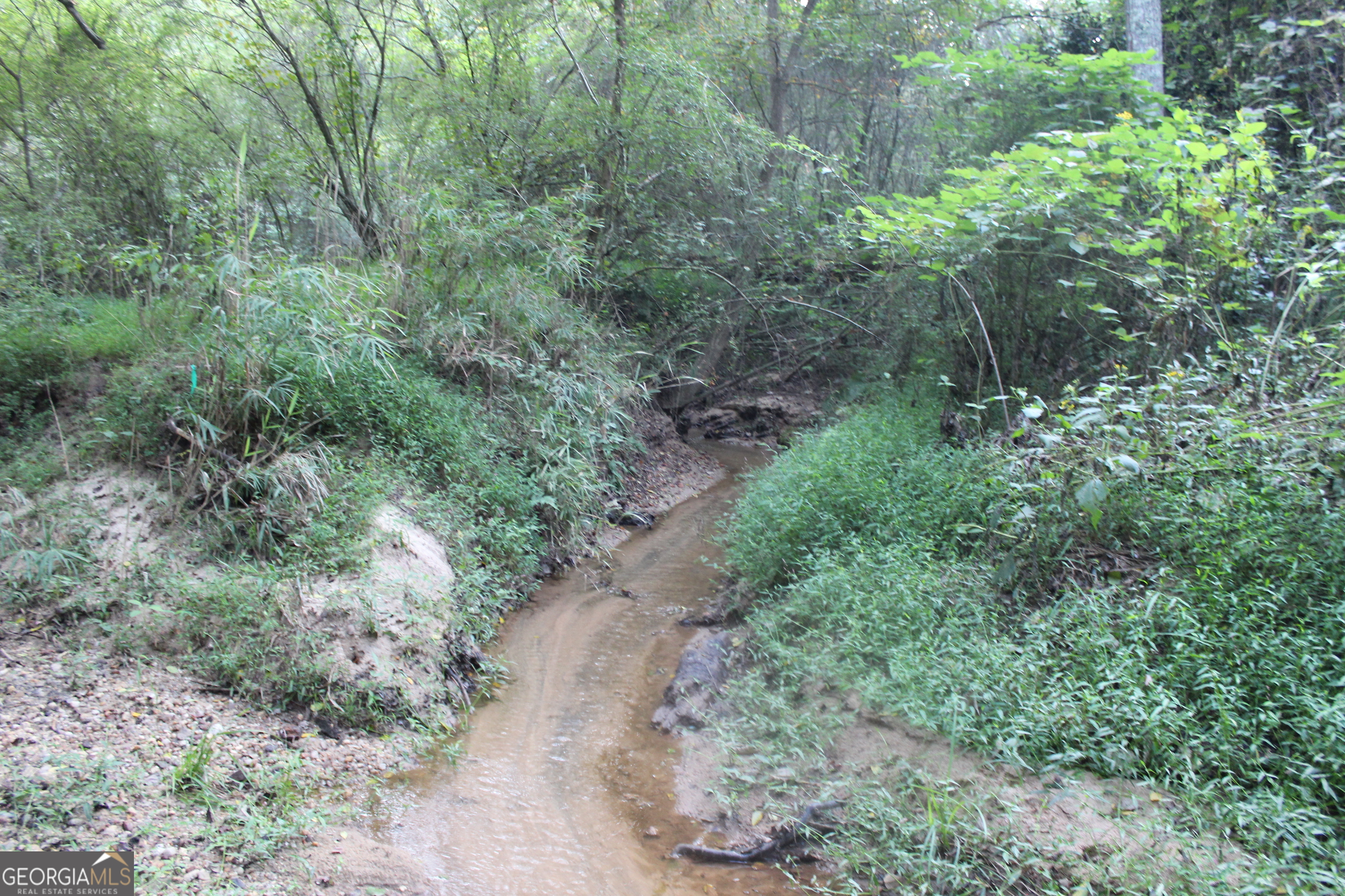 0 Jefferson Road Statham, GA 30666 - Photo 22 of 37 a view of a forest with trees
