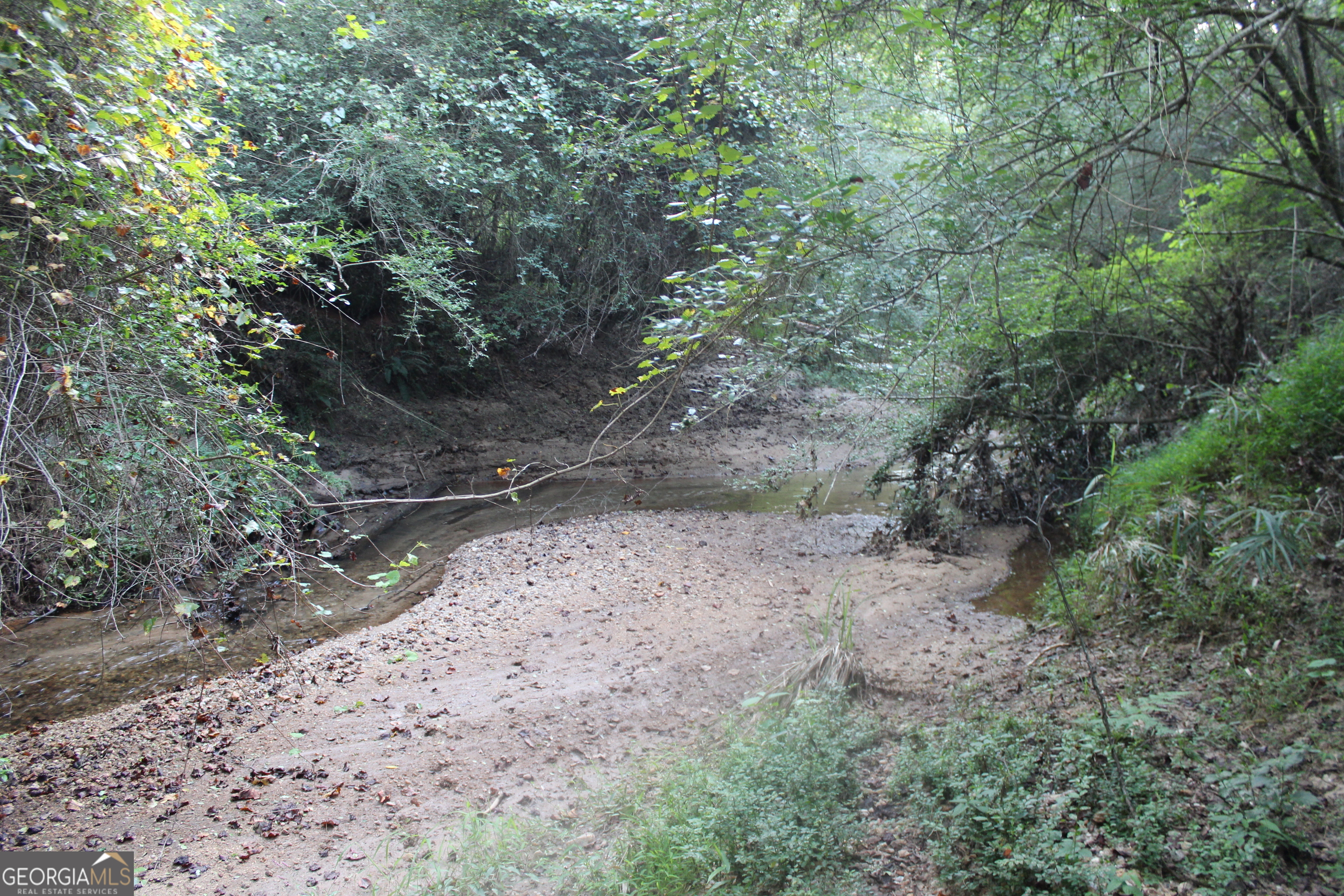 0 Jefferson Road Statham, GA 30666 - Photo 28 of 37 a view of a yard with a tree