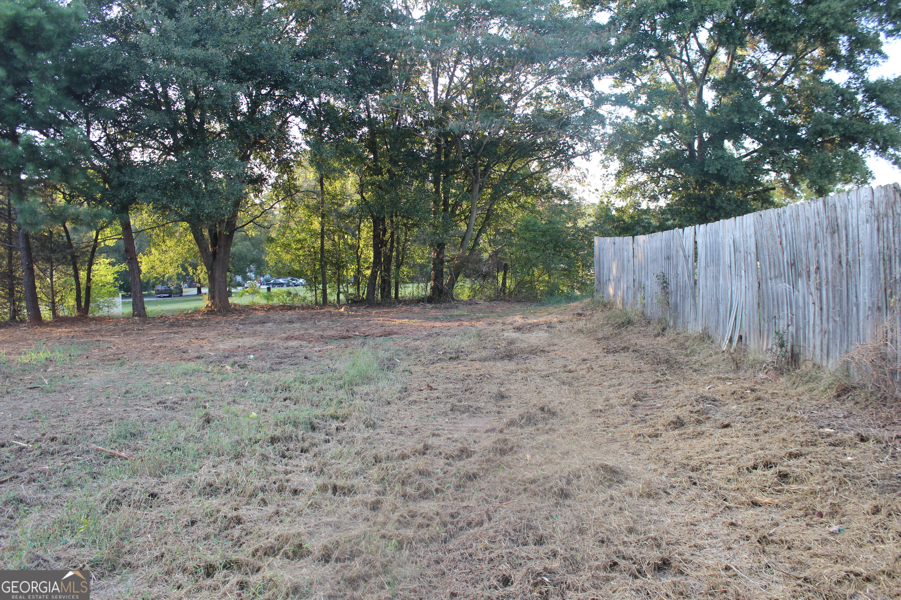 0 Jefferson Road Statham, GA 30666 - Photo 6 of 37 a view of backyard with tree