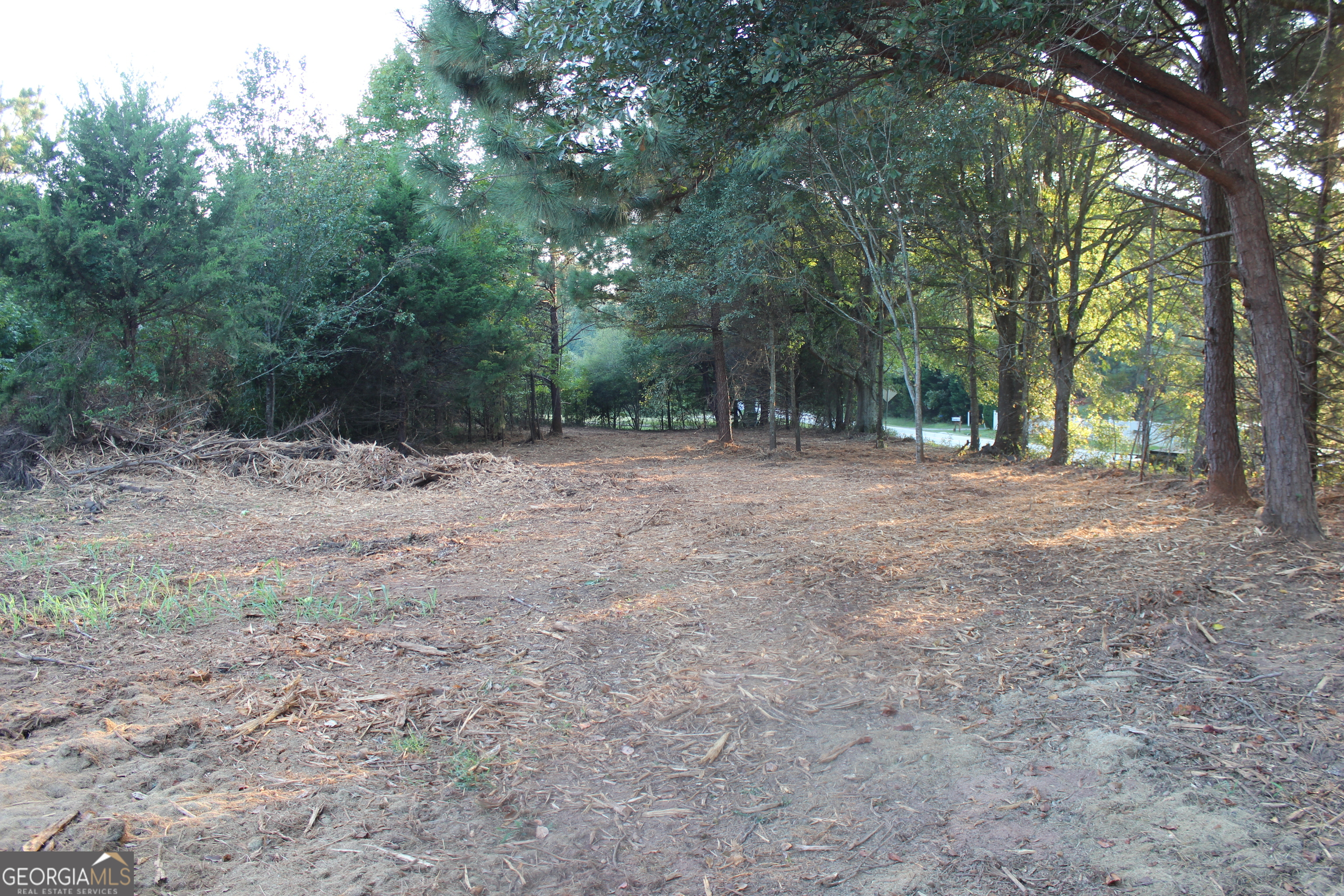 0 Jefferson Road Statham, GA 30666 - Photo 8 of 37 a view of dirt yard with trees