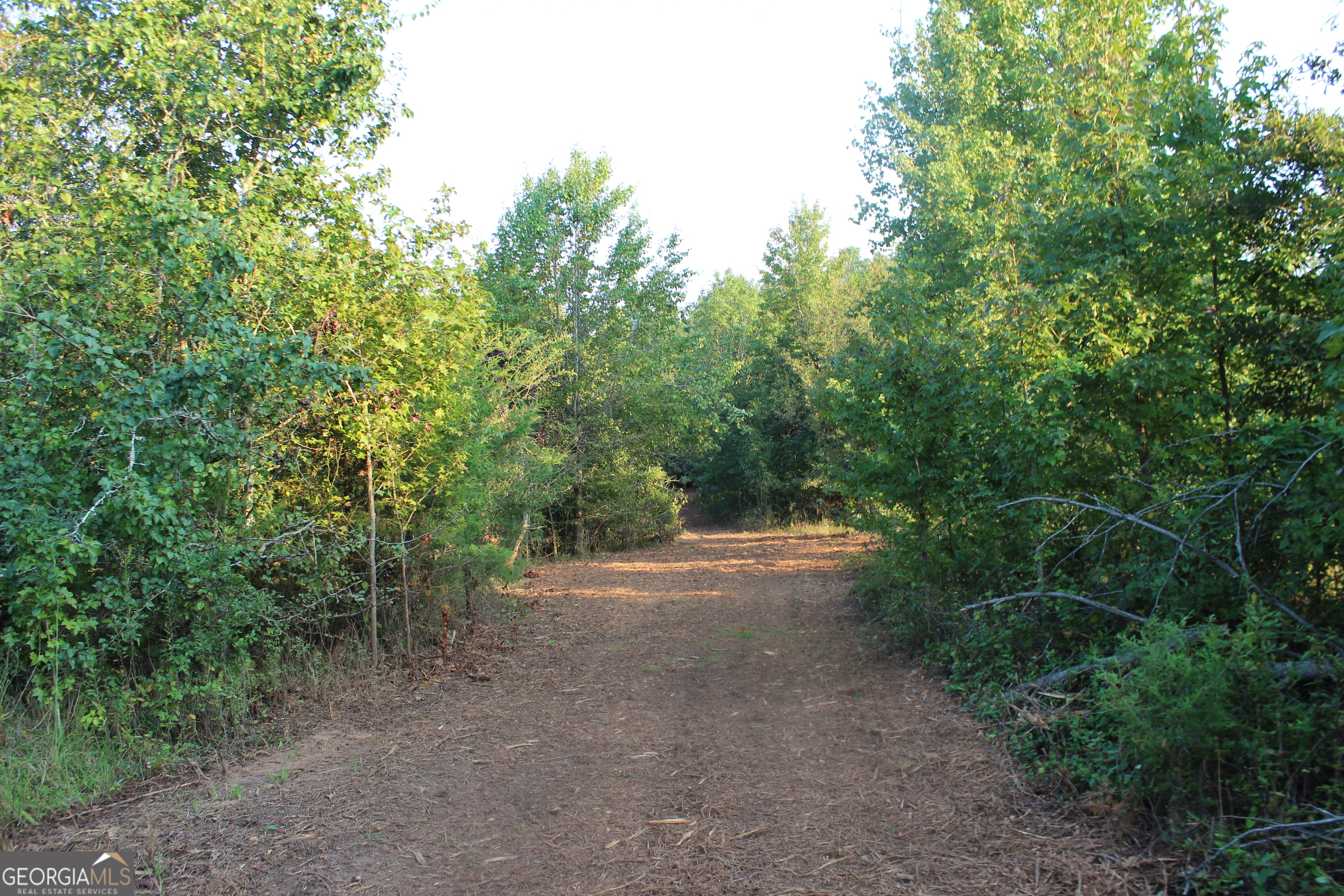 0 Jefferson Road Statham, GA 30666 - Photo 10 of 37 a view of an outdoor space with trees all around