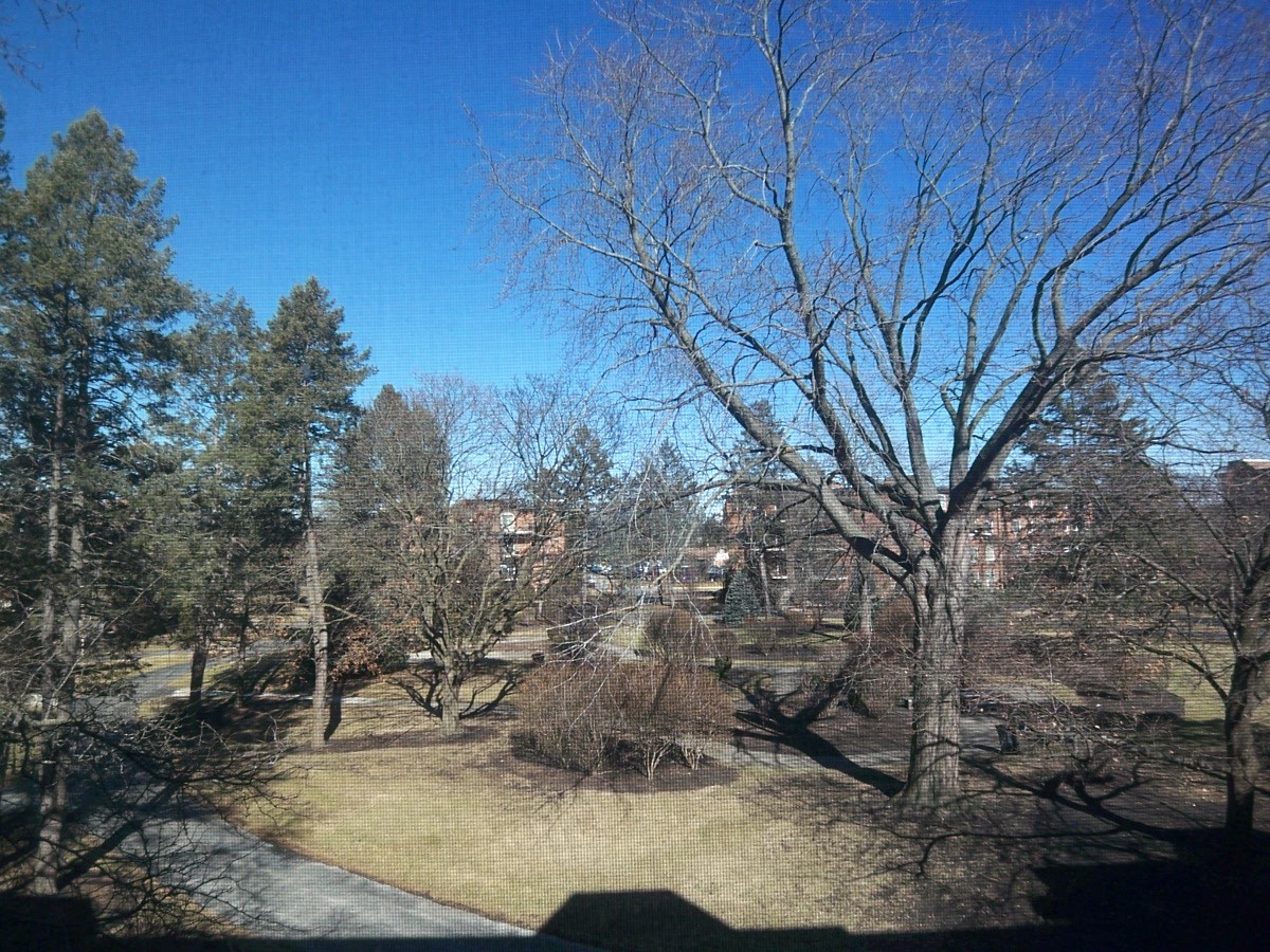 1227 South Old Wilke Road, Unit 306 Rolling Meadows, IL 60005 - Photo 17 of 24