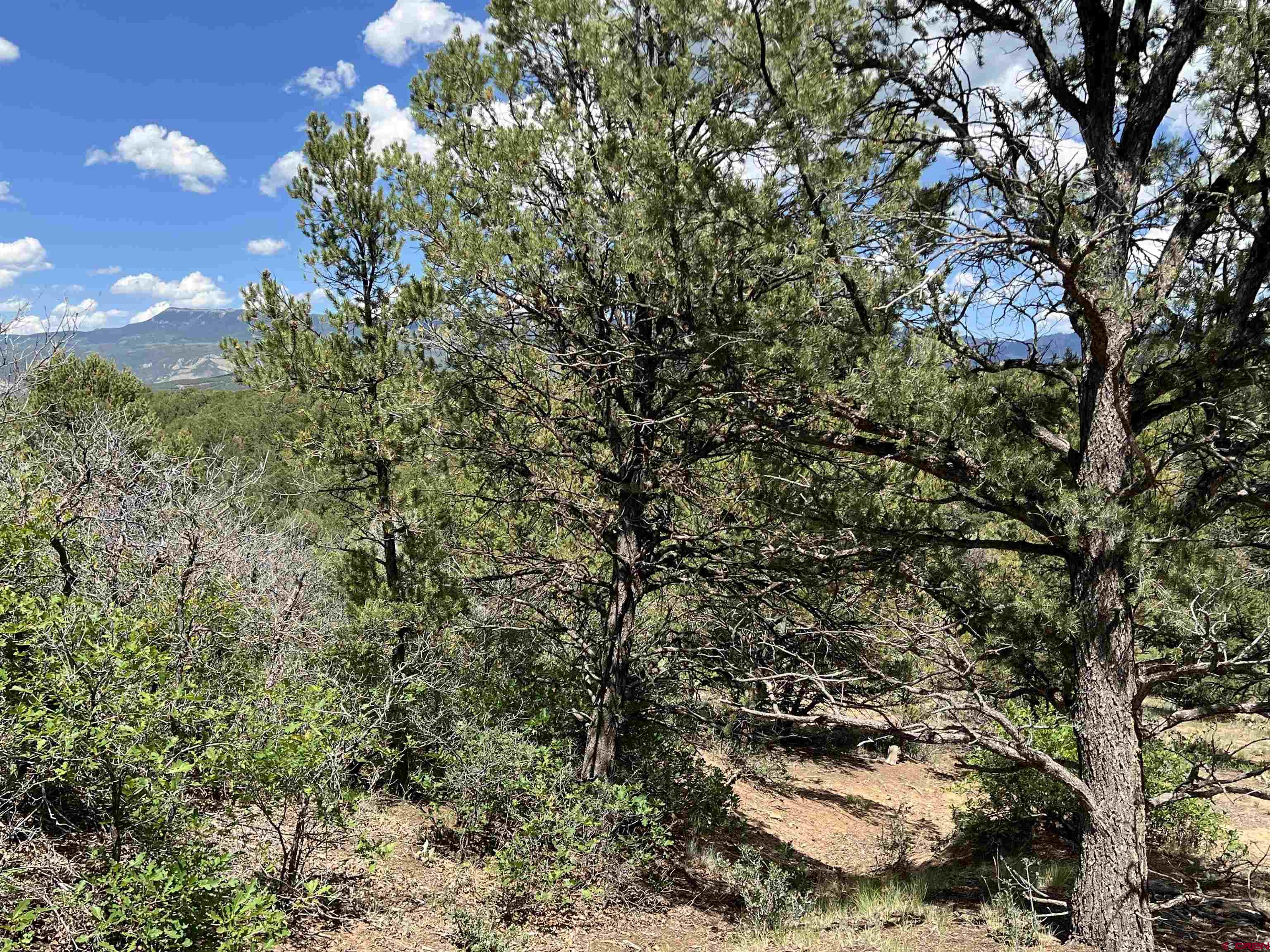 Lot 9 Pointe Escape Drive Ridgway, CO 81432 - Photo 15 of 33