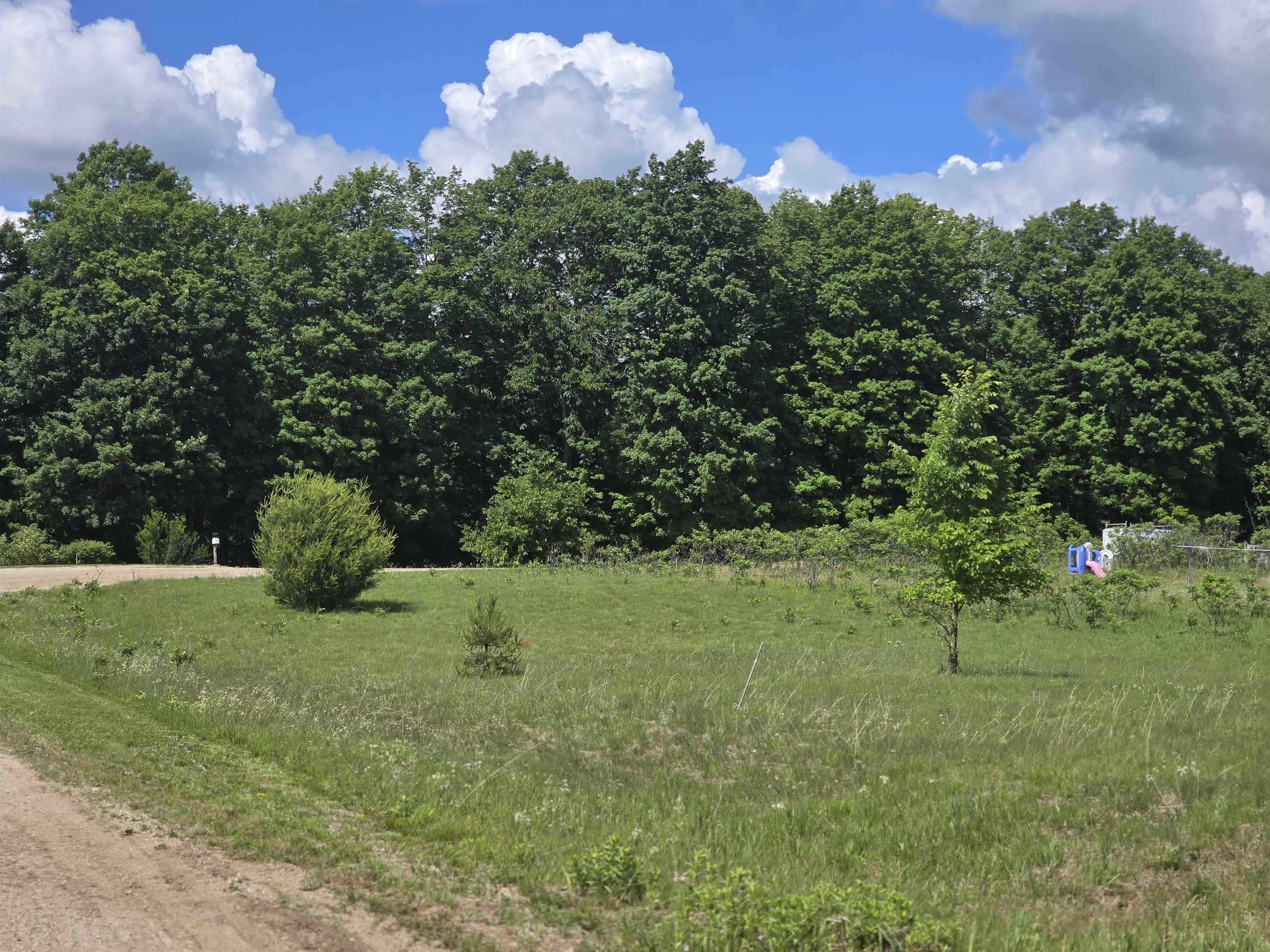 Kay Road Guthrie Road Mesick, MI 49668 - Photo 5 of 10