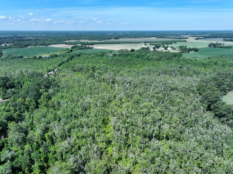 Yarborough Road Parkton, NC 28371 - Photo 6 of 13