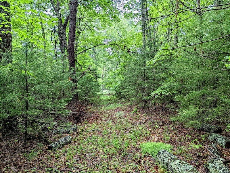 Tbd Deepwater Road Indian Valley, VA 24105 - Photo 17 of 30 Gallery Image 17