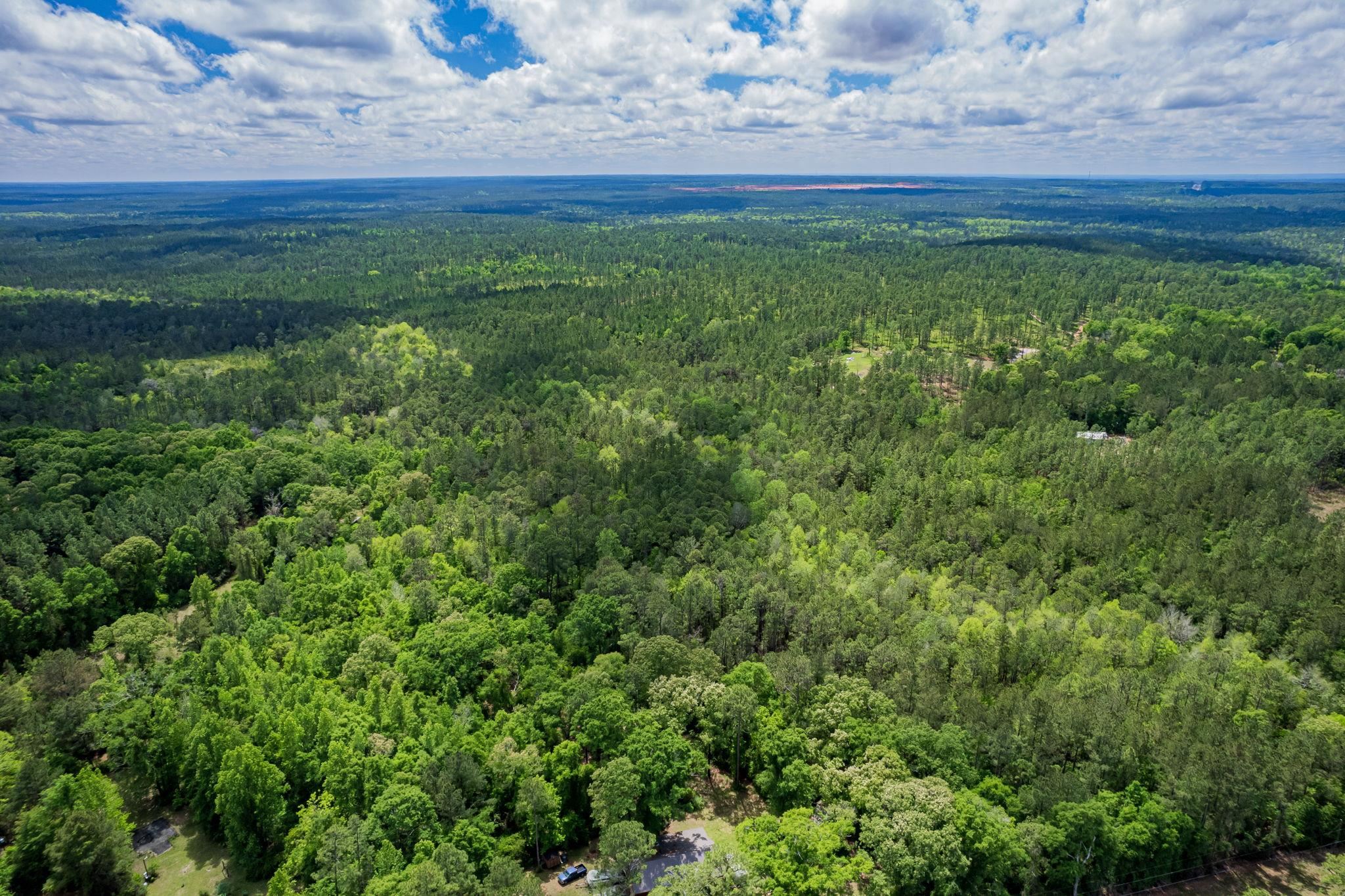 51597 Hollingsworth Road Bay Minette, AL 36507 - Photo 41 of 43