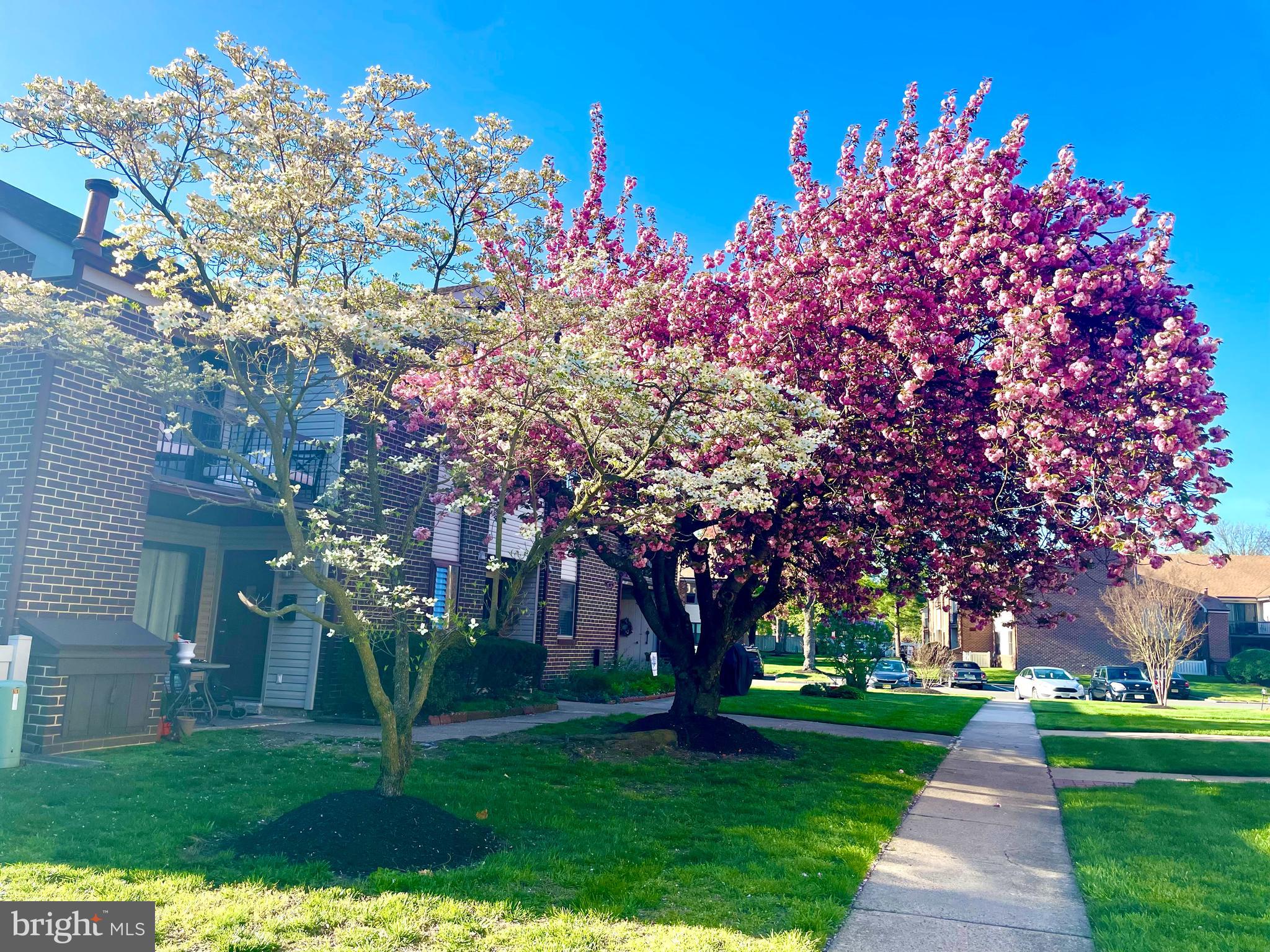 1475 Mt Holly Road, Unit N2 Edgewater Park, NJ 08010 - Photo 22 of 23 Spring time view at entrance