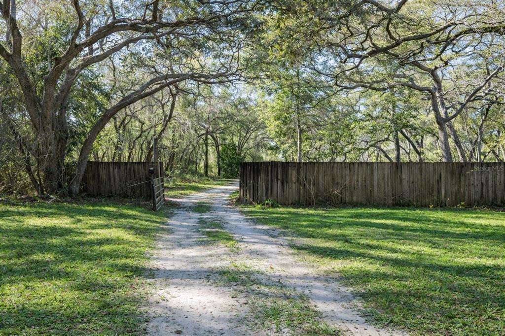 16314 Tiger Trail Spring Hill, FL 34610 - Photo 4 of 43