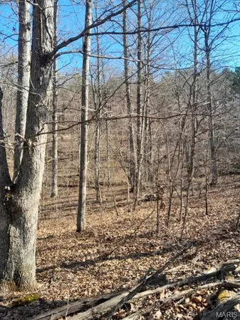 $149,900 | 15580 Highway 32, Boss, MO 65440