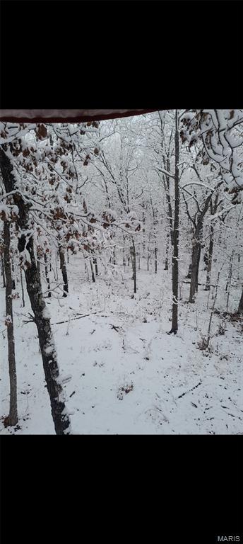 15580 Highway 32 Boss, MO 65440 - Photo 15 of 16