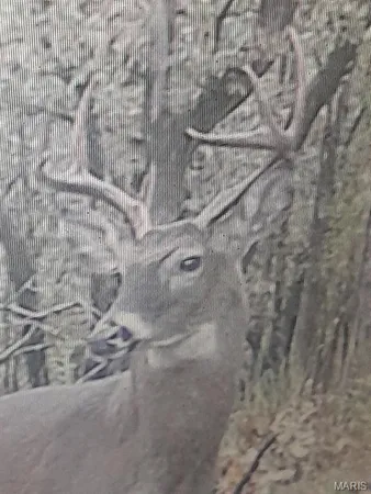 $149,900 | 15580 Highway 32, Boss, MO 65440