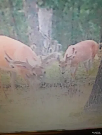 $149,900 | 15580 Highway 32, Boss, MO 65440