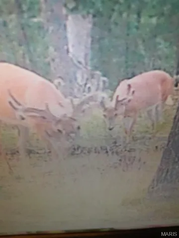 $159,900 | 15580 Highway 32, Boss, MO 65440