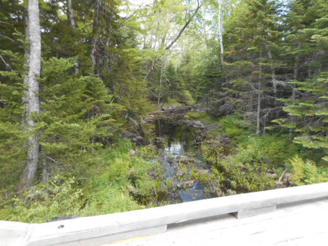 Tbd Lot 5 Tbd Road Cooper, ME 04657 - Photo 19 of 22 DSCN1514