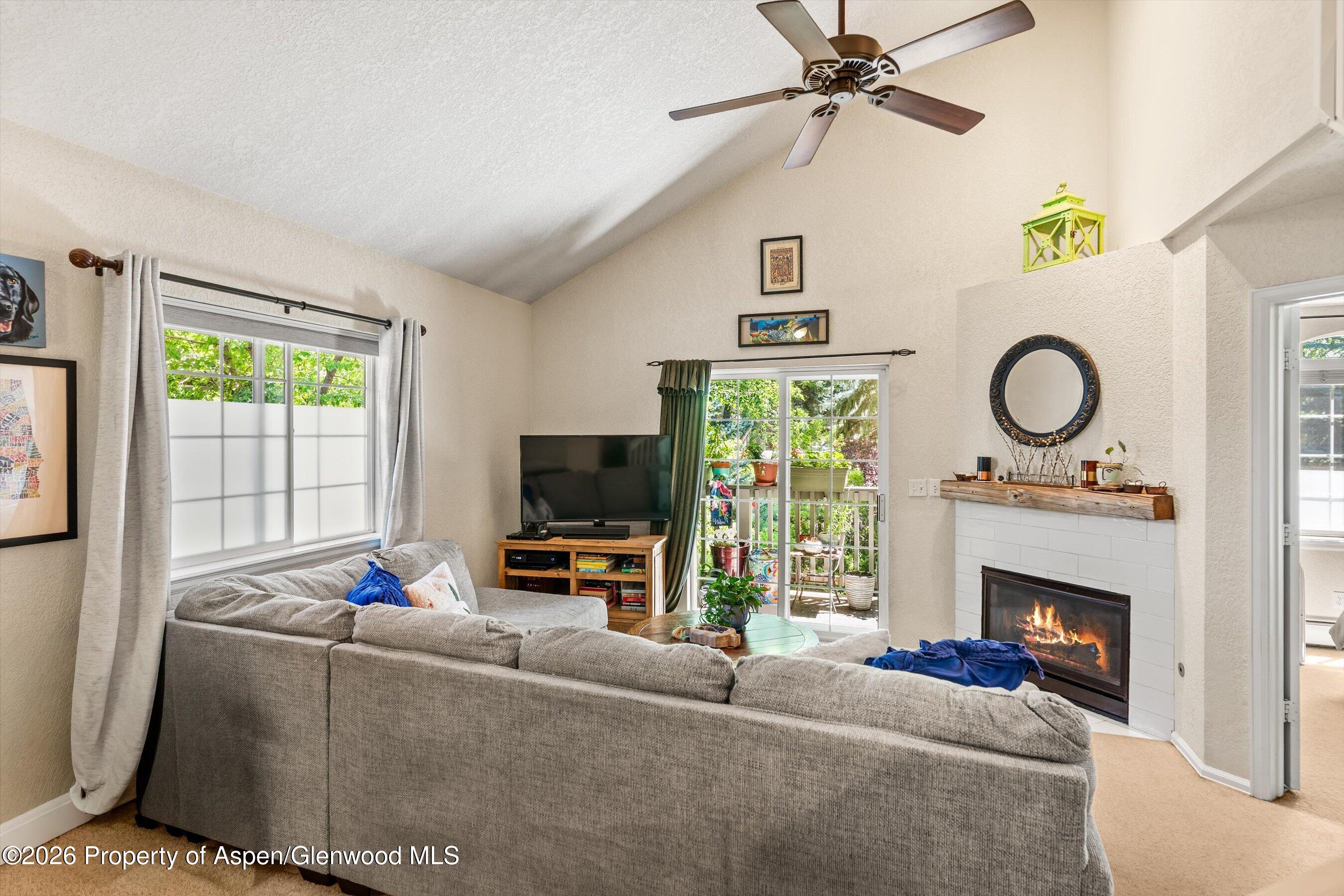 5203 Elk Lane Basalt, CO 81621 - Photo 8 of 26 12-5203ElkLn_26061712