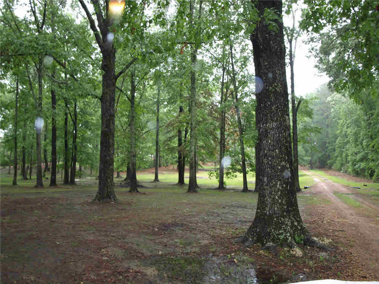 2263 Almar Road Florence, MS 39073 - Photo 20 of 20 View from the street.