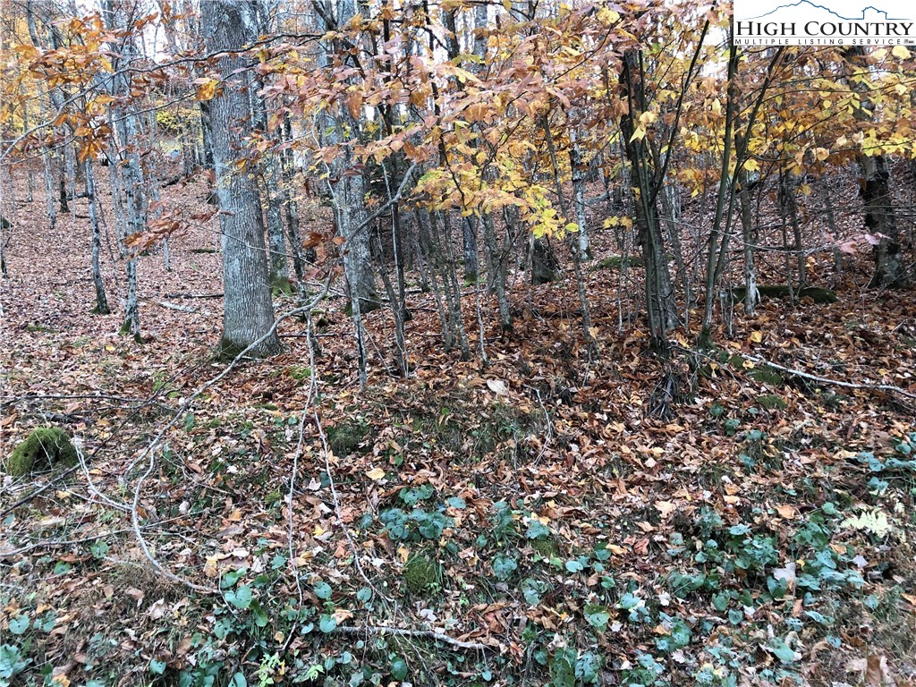 107 Lakeledge Road Beech Mountain, NC 28604 - Photo 1 of 3 Gallery Image 1