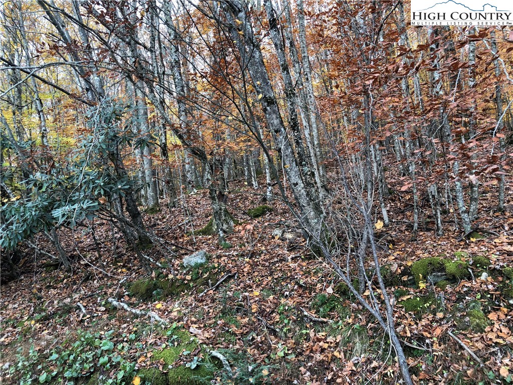 107 Lakeledge Road Beech Mountain, NC 28604 - Photo 2 of 3 Gallery Image 2