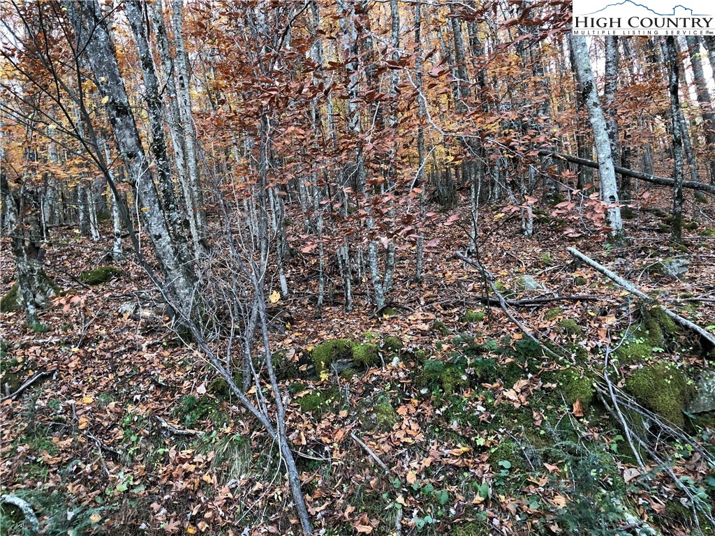 107 Lakeledge Road Beech Mountain, NC 28604 - Photo 3 of 3 Gallery Image 3