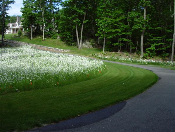 80 Laurel Road Bolton, MA 01740 - Photo 7 of 23 a view of a park