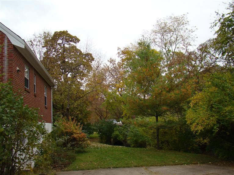 315 Riddle Place Newport, KY 41071 - Photo 21 of 25 Gallery Image 21