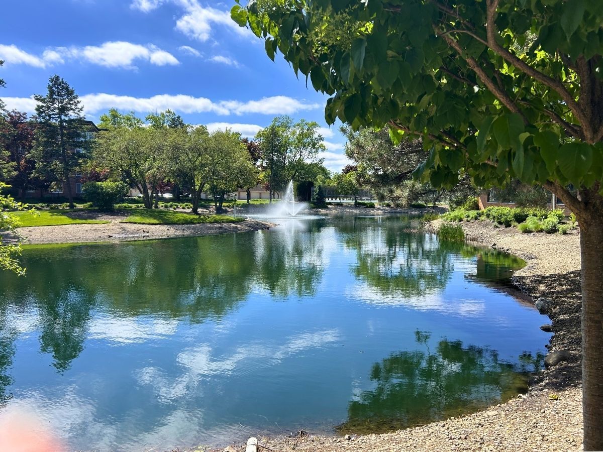 1206 New Wilke Road, Unit 206 Arlington Heights, IL 60005 - Photo 2 of 17 a view of a lake with a yard