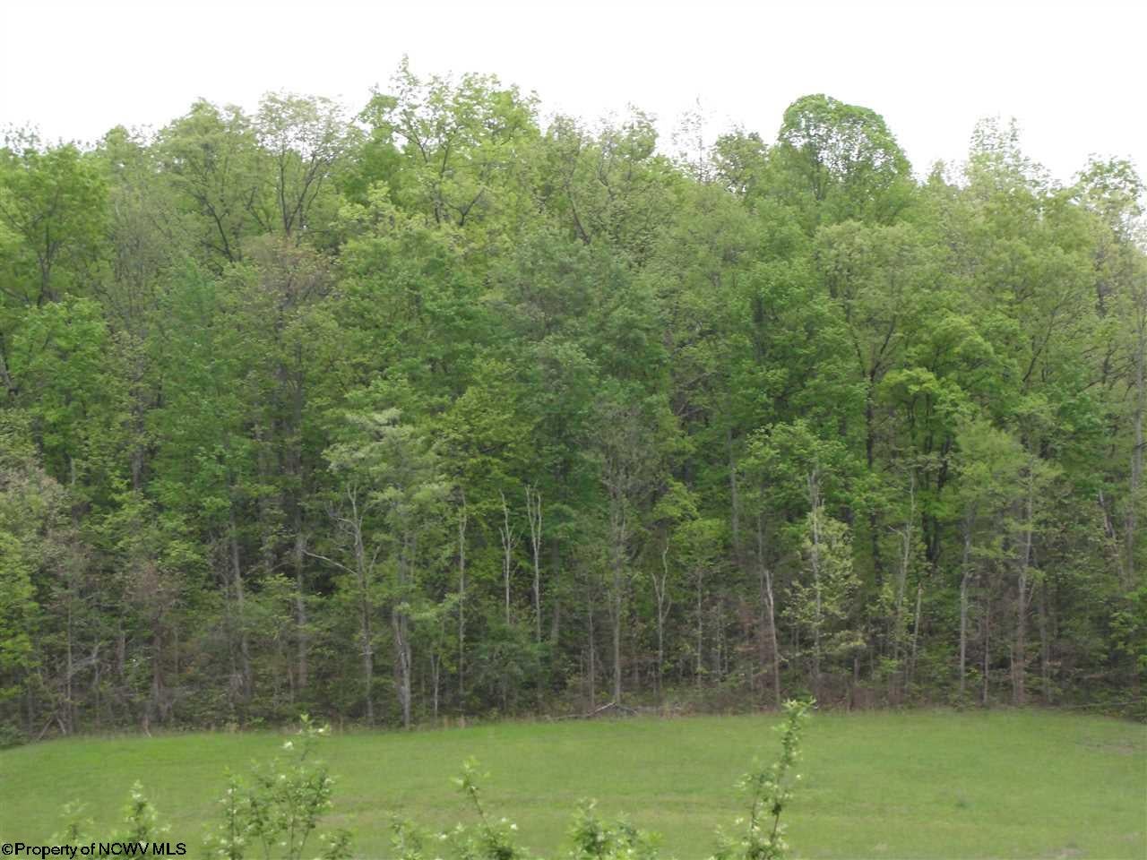 Foster Street Buckhannon, WV 26201 - Photo 2 of 15 Gallery Image 2