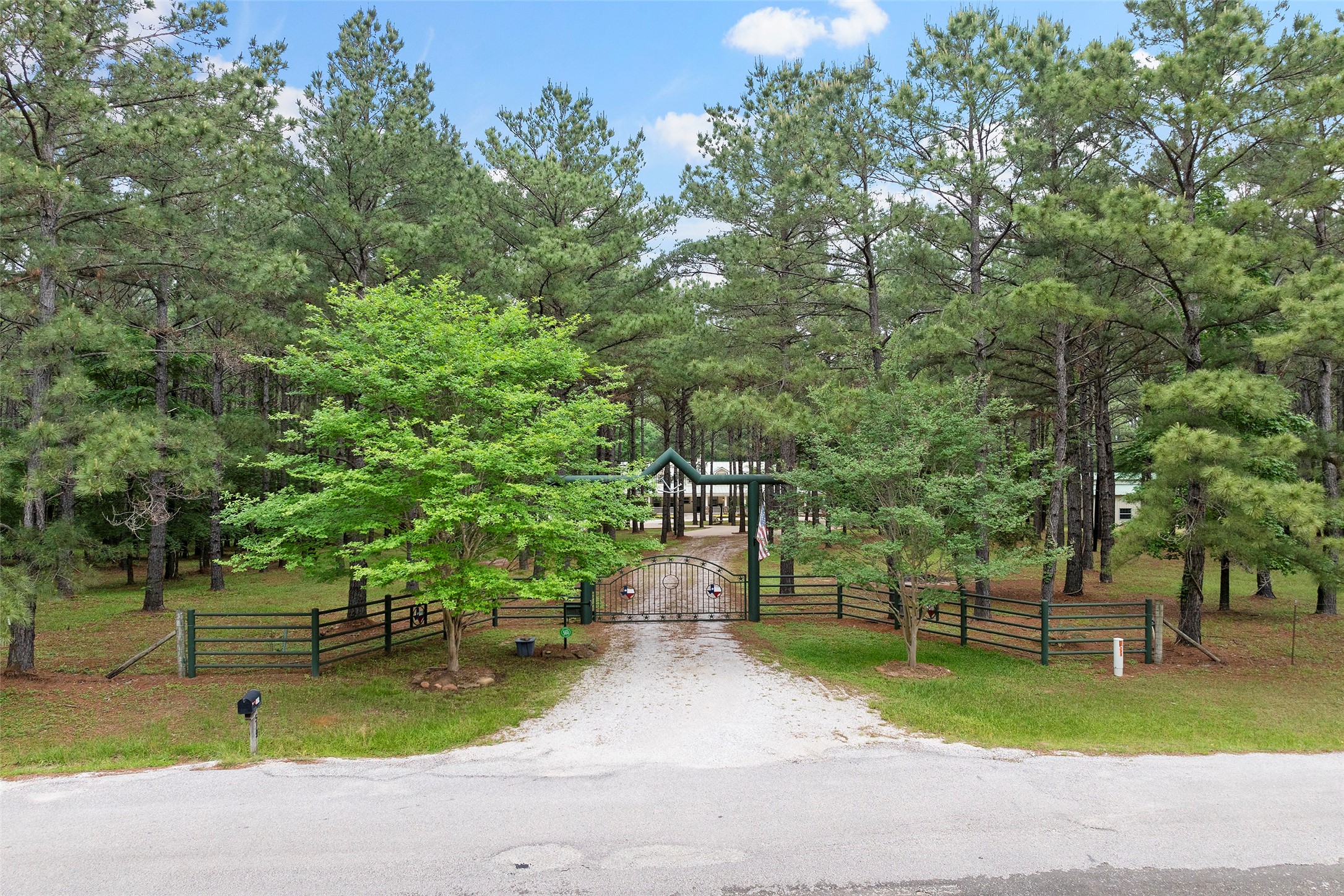 519 Dodge-Oakhurst Road Huntsville, TX 77320 - Photo 4 of 50 a view of a park with plants and trees