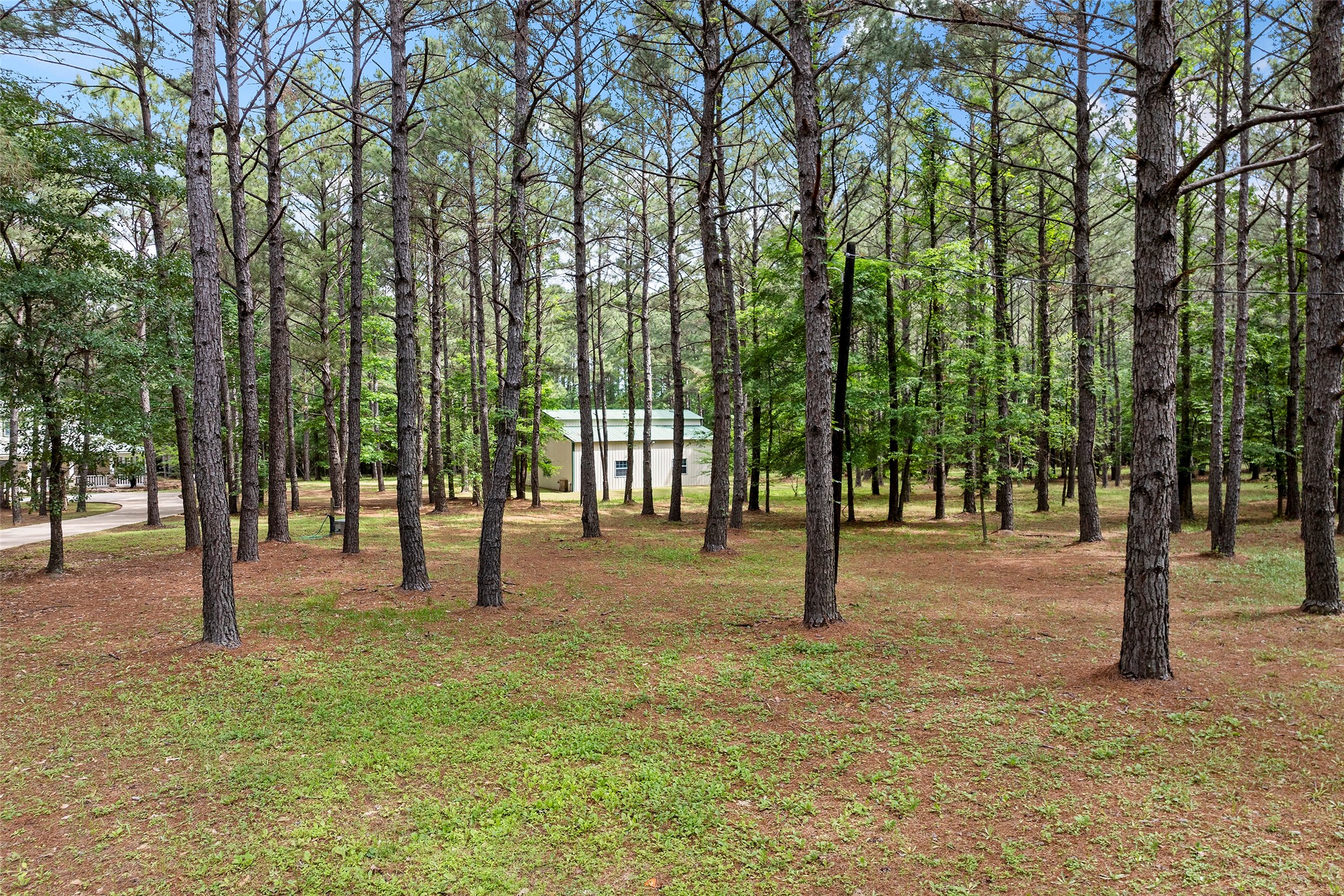 519 Dodge-Oakhurst Road Huntsville, TX 77320 - Photo 48 of 50