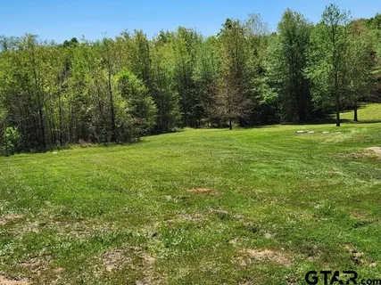 a view of a field with trees in the background