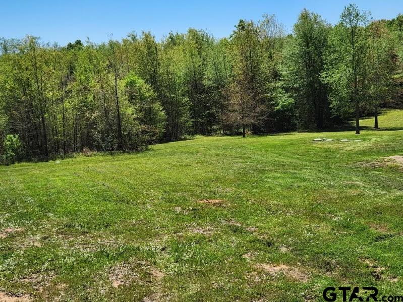 6339 Gorilla Road Gilmer, TX 75644 - Photo 8 of 12 a view of a field with trees in the background