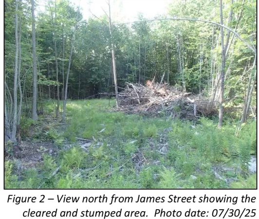 $75,000 | 7 James Street, Bethlehem, NH 03574