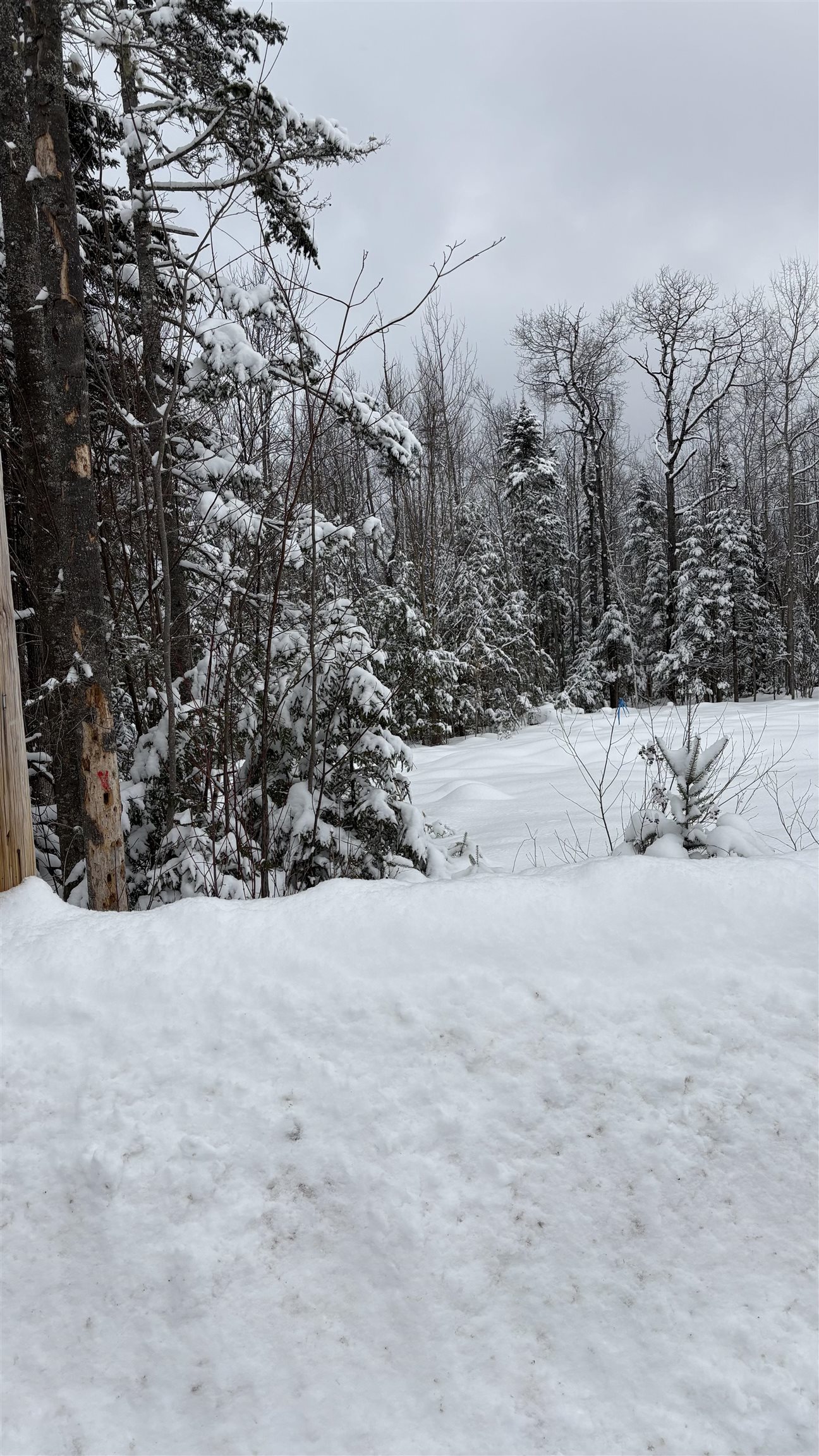 7 James Street Bethlehem, NH 03574 - Photo 3 of 10