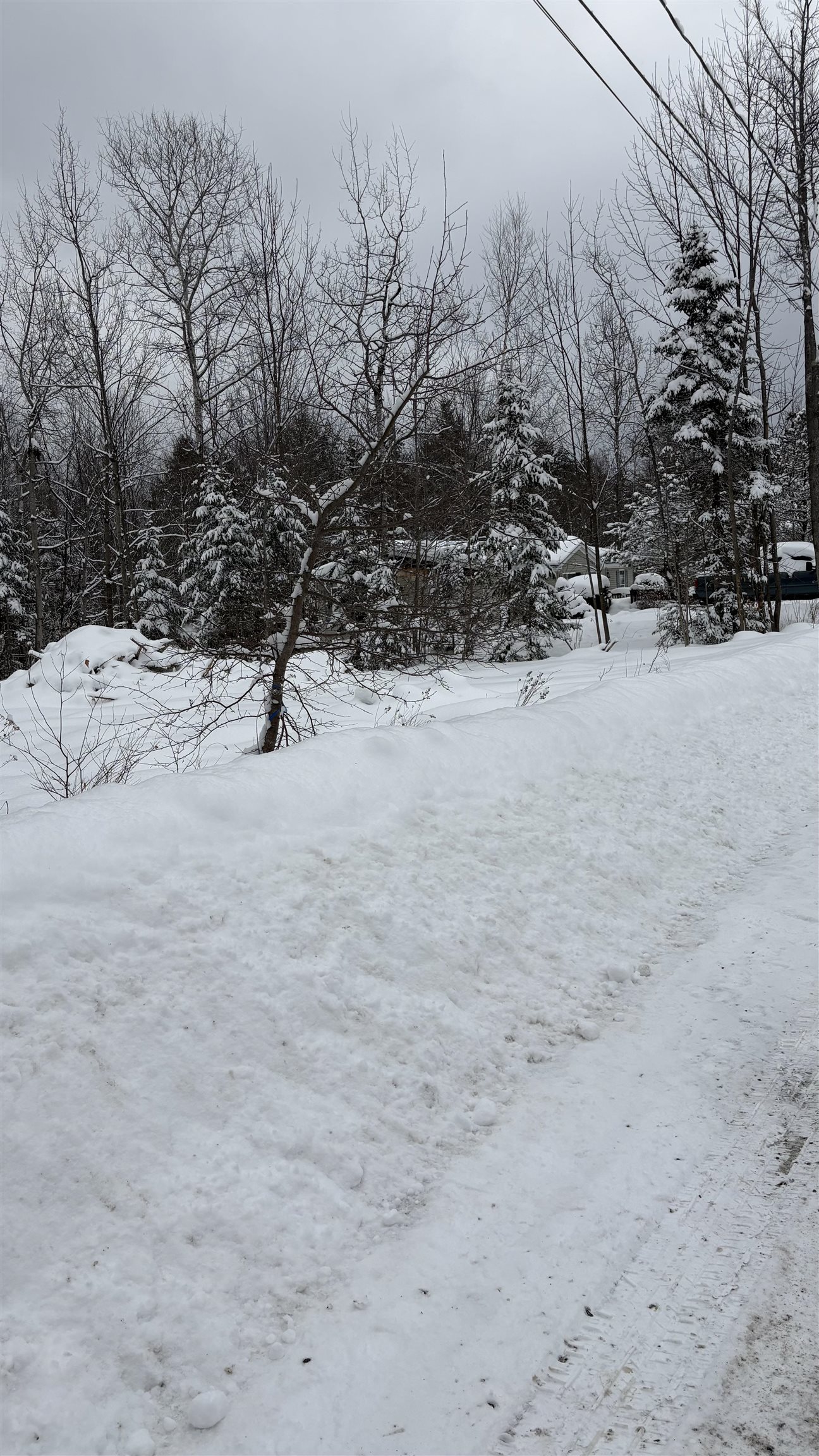 7 James Street Bethlehem, NH 03574 - Photo 5 of 10