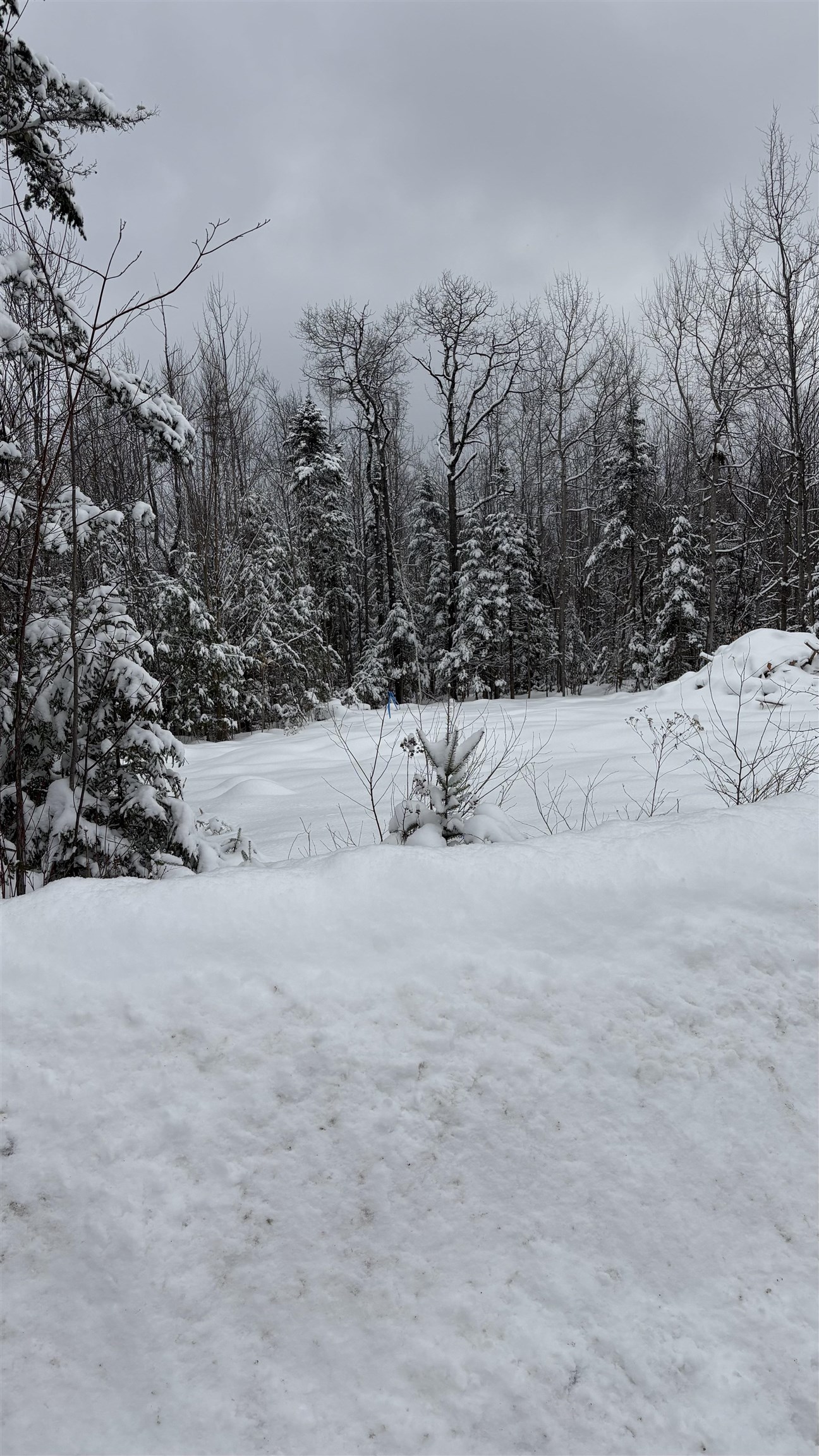 7 James Street Bethlehem, NH 03574 - Photo 9 of 10