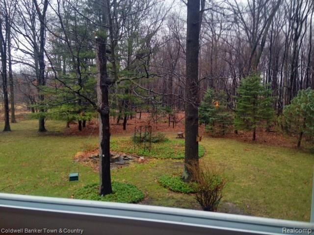 1800 Lone Tree Road Highland, MI 48357 - Photo 36 of 43 View from master bath