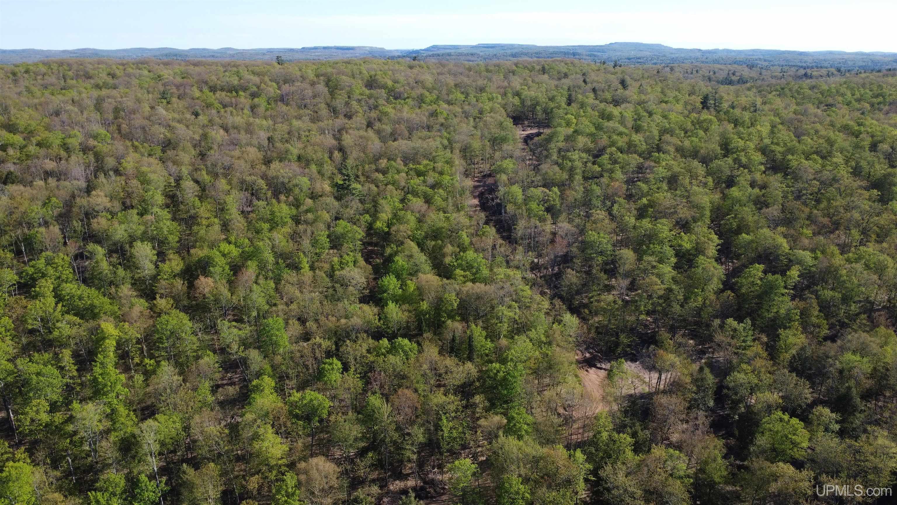Off Off Hoist Road Negaunee, MI 49866 - Photo 14 of 45